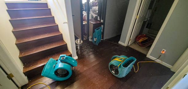 Best Local water damage restoration  in Franklinton, NC