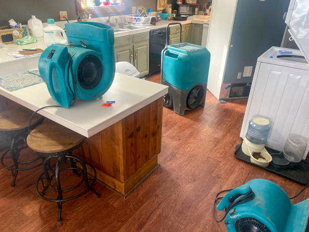 Best Sewage cleanup and water damage restoration  in Franklinton, NC