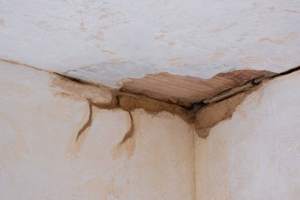 Best Residential water damage restoration  in Franklinton, NC