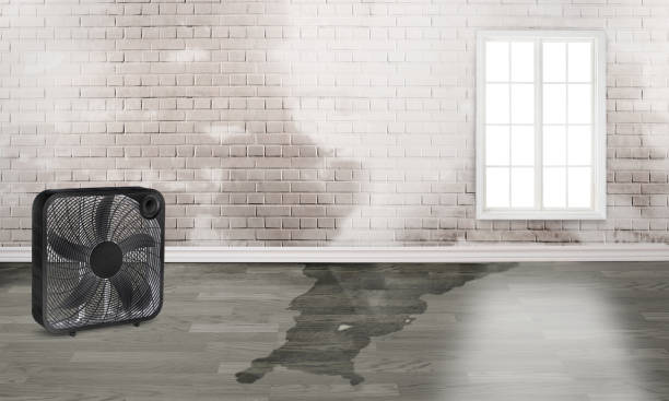 Best Fire Damage Restoration  in Franklinton, NC