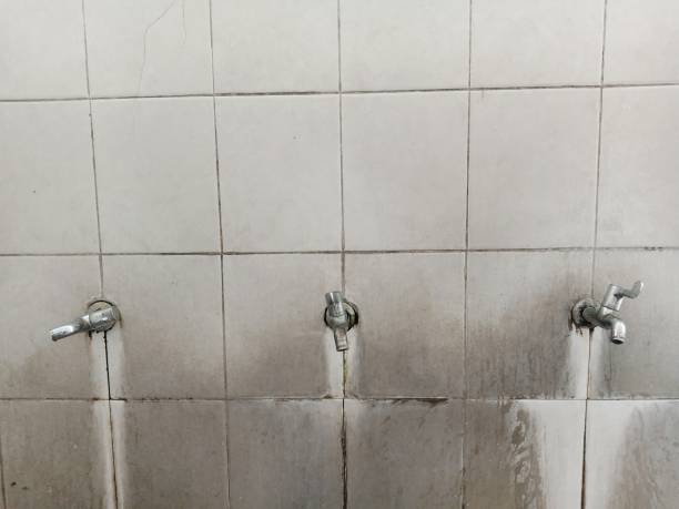 Trusted NC Water damage restoration Experts