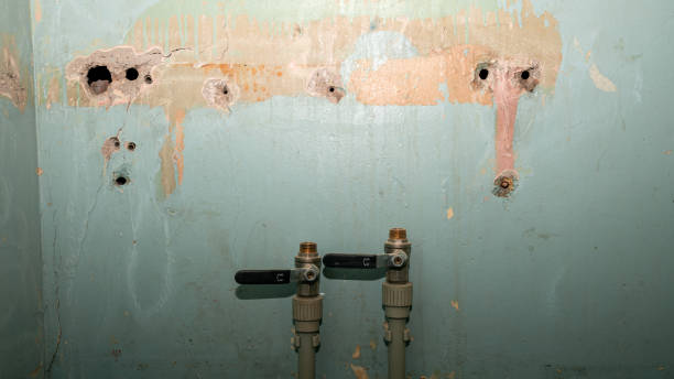 Best Flood restoration services  in Franklinton, NC