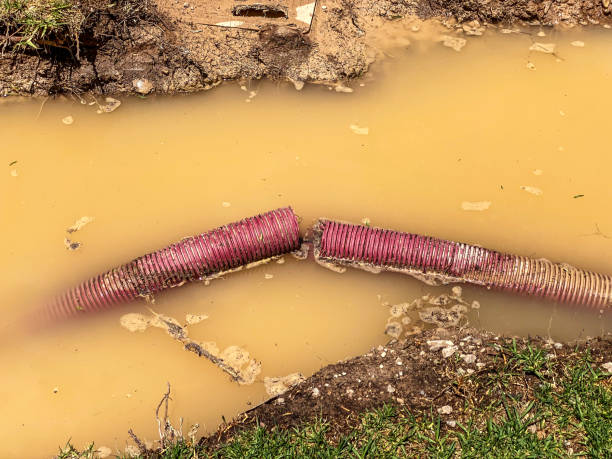 Best Water damage restoration near me  in Franklinton, NC
