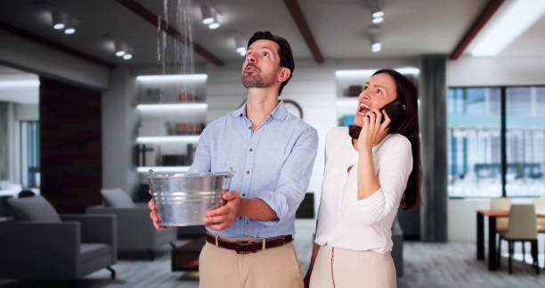 Best Water damage cleanup near me  in Franklinton, NC