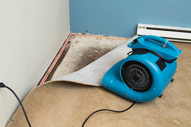 Best Water damage restoration near me  in Franklinton, NC